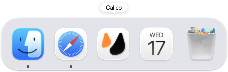 macOS dock with applications